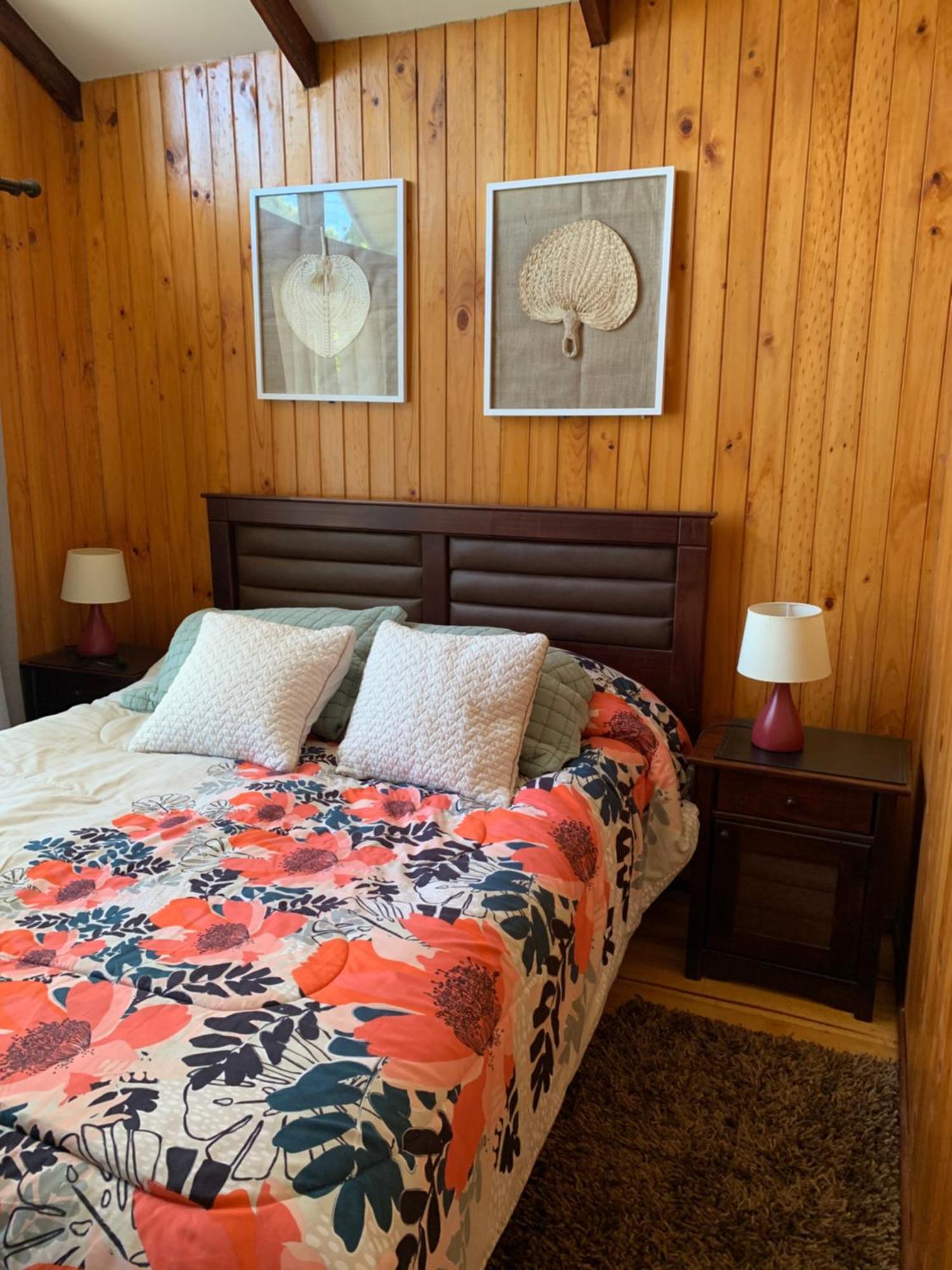 Cabanas Klenner Puerto Varas Extérieur photo